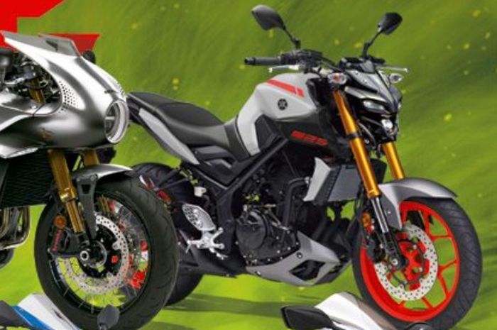 Yamaha MT-25 ala Young Machine