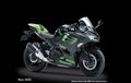 Kawasaki New Ninja 250 di Indonesia Lebih Buas Dari Versi Jepang, Power Selisih 2 Dk