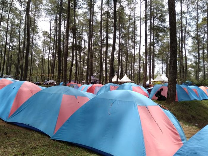 MAXI Yamaha Day Bandung. Nuansa kemping dan hutan