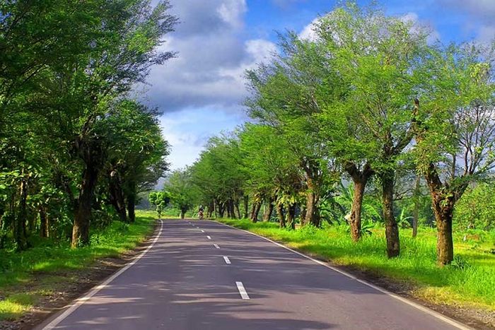 Garis putus - putus di jalanan