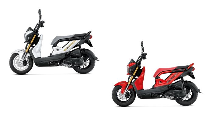 Pilihan Warna Honda Zoomer-X baru