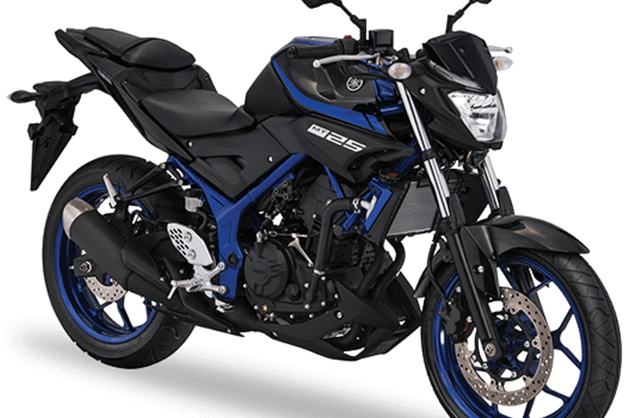 Yamaha MT 25