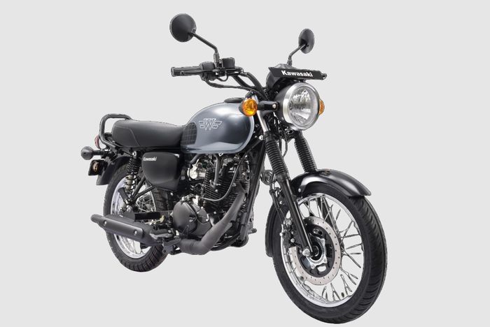 Warna Metallic Graphite Gray W175 India