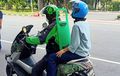 Ini Pandangan Pakar Safety Terkait Partisi di Motor Ojol, Betulkah Ganggu Kestabilan Berkendara?