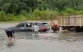 Toyota Fortuner Gagal 'Nyelam', Air Rendam Setengah Bodi, Truk Pasir Beraksi