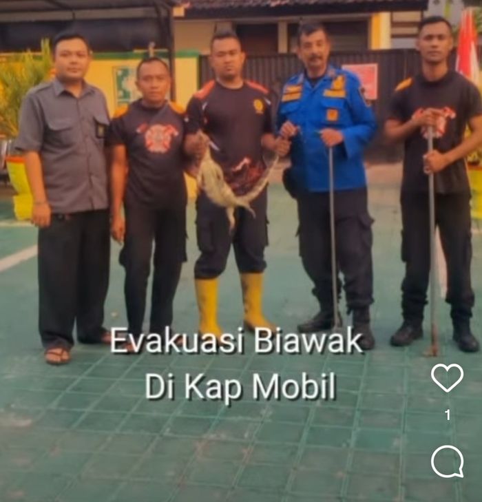 Petugas pemadam kebakaran Situbondo berhasil mengeluarkan biawak dari dalam ruang mesin Toyota Rush