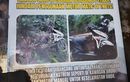 Buntut Usiran Warga, Pemkab Probolinggo Usulkan Regulasi Larangan Motor Matic ke Gunung Bromo
