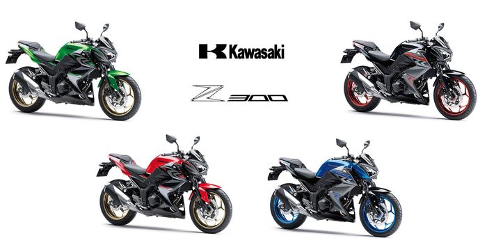 Kawasaki Z300 Thailand