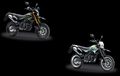 Kamu Bingung Bedain Kawasaki D-Tracker Tipe Standar dan SE? Yuk Baca Dulu