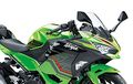 Kawasaki Pamerkan Tiga Pilihan Warna Baru Ninja 250 2-Silinder, Asli Tambah Sporty Nih