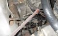 Harus Tahu, Beginilah Cara Benar Baca Dipstick Oli Mesin Mobil