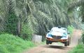 Rally of Indonesia Punya Trek Ganas, Peserta Patah As Roda Hingga Mesin Jebol