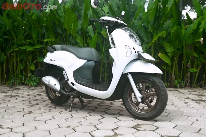 Ilustrasi Honda Scoopy 