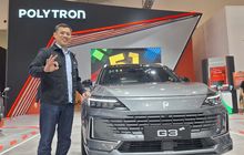 Begini Cara Polytron Upgrade Audio Mobil Listrik Tanpa Gugurkan Garansi