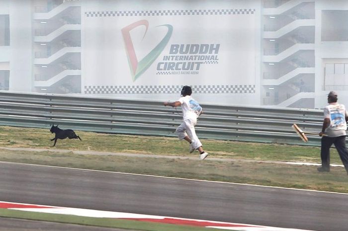 Anjing liar memasuki sirkuit di GP F1 India pada 2011 silam.