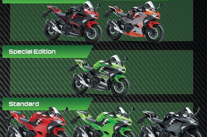 Kawasaki New Ninja 250 all color 