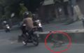 Kejam Banget, Video Anjing Ditarik Motor Lewat Jalan Raya di Lampung