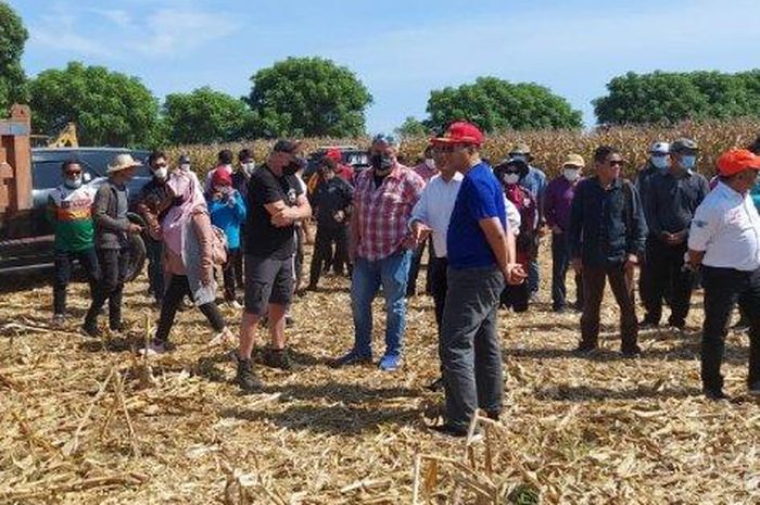 Promotor balap Infront meninjau langsung sirkuit MXGP Indonesia 2022 yang akan diadakan di Samota, Sumbawa, NTB.