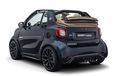 Spesifikasi Interior dan Tenaga Smart Fortwo Brabus Ultimate 125