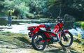 Dijual Seharga Rp 75 Juta, Apa Saja Pilihan Warna Honda CT125 yang Dijual di Indonesia?
