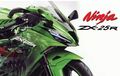 Kawasaki Siapkan Ninja 250 Empat Silinder Dalam Dua Tipe, Salah Satunya Versi Murah?