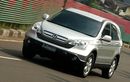 Lirik Harga Honda CR-V Kura-kura 2007 Bekas, Pas Buat Karyawan