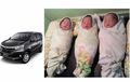 Keburu Lahir di Mobil saat Menuju Rumah Sakit, Tiga Bayi Kembar Ini Jadi Dinamai Avanza