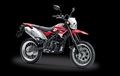 Seger! Kawasaki D-Tracker Punya Dua warna Baru Nih