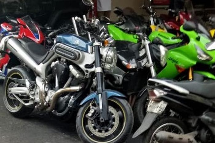 Moge Bodong Kelas  Atas Jadi Incaran Harga Bagai Langit  