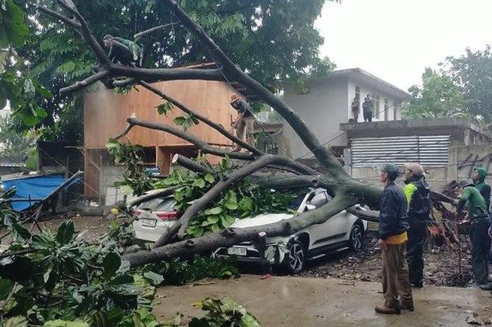 Toyota Rush dan 5 mobil lain ringsek ditimpa pohon matoa tumbang di Jl Bina Marga, Bogor Timur, kota Bogor, Jawa Barat