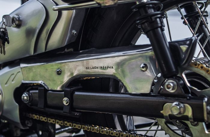 Ada ketrikan nama latin ikan hiu pada cover rantai Cargo Cruiser Cub