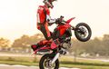 Mesinnya 1 Silinder Paling Bertenaga di Dunia! Ducati Luncurkan Hypermotard 689 Mono