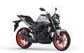 Yamaha MT-25 Bekas Susah Langsam, Masalah Bisa Jadi Sepele, Ini Penyakitnya