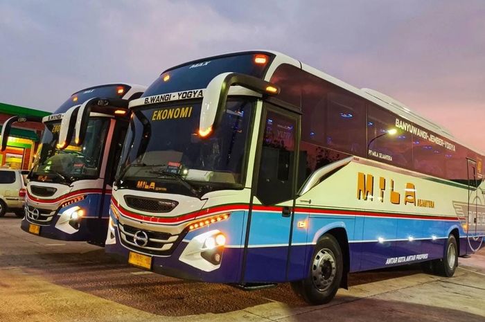 Dua unit bus baru PO Akas Mila Sejahtera menggunakan livery vintage.
