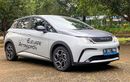 BYD Dolphin Absen di GIIAS 2026, Apa Benar Sudah Tidak Dijual?