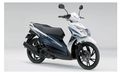 Nostalgia Suzuki Hayate, Penerus Skywave yang  Lebih Garang tapi Gagal Bersinar