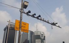 Ternyata Ada Kaca Film Gak Mempan ETLE, Aturan Ini Dikeluarkan Polisi