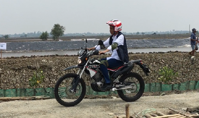 Presiden Jokowi kunjungi tambak udang dan ikan Muara Gembong dengan motor trail