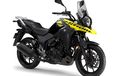 Suzuki V-Strom Keluar di Australia, Akankah Masuk ke Indonesia?