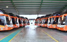 Ini Sejarah dan Pemilik PO Rosalia Indah, Awal Merintis Cuma Modal 1 Colt Diesel