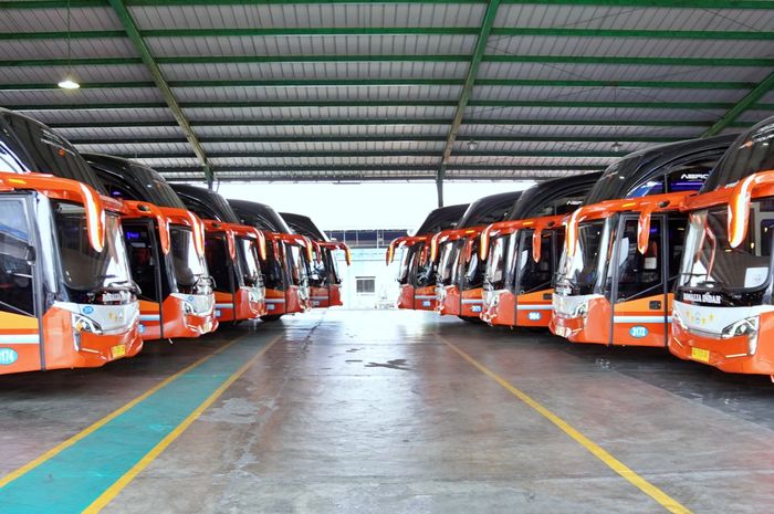 PO Rosalia Indah tambah 10 unit bus baru