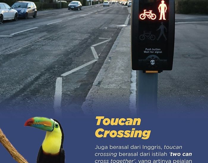 Toucan crossing