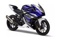 Tanggapan Yamaha Mengenai Rumor YZF-R25M Sebagai Rival Kawasaki ZX-25R, Masuk Indonesia?