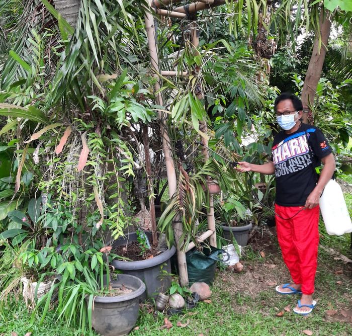 Iwan Semut Ireng menghabiskan waktu mengurus tanaman