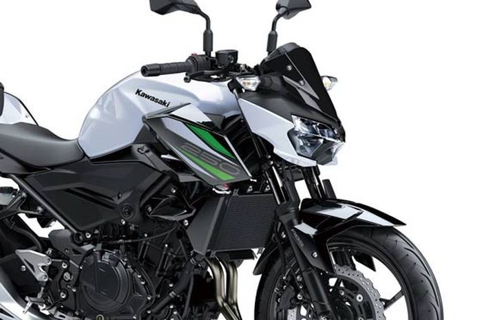 Kawasaki Z250 2019