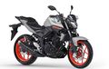 Konsultasi OTOMOTIF: Yamaha MT-25 Mau Pasang Upside Down, Perlu Apa Saja?