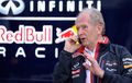 Tim Red Bull Pakai Mesin Honda di Musim balap F1 2019?
