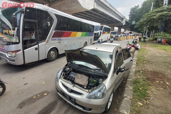 Gara-gara makhluk kecil ini mesin mobil bisa mogok 