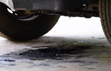 Ada Tetesan Oli Mesin Dikolong Mobil? Segera Cek Komponen Ini Dulu