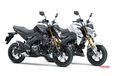Kawasaki Rilis Z125 Pro Model 2020. Kira-kira Apanya yang Baru?